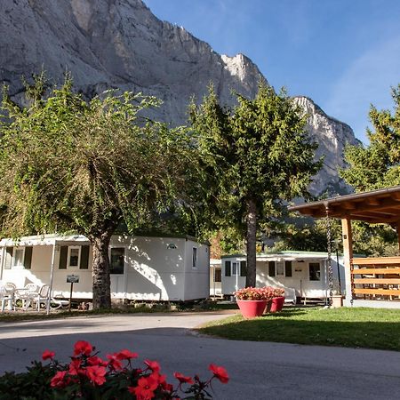 فندق Camping Daino بياتراموراتا المظهر الخارجي الصورة
