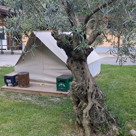 فندق Camping Daino بياتراموراتا المظهر الخارجي الصورة